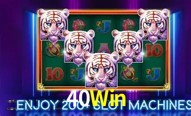 40Win Bet